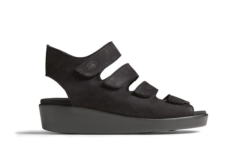 Wolky Bestsellers 6