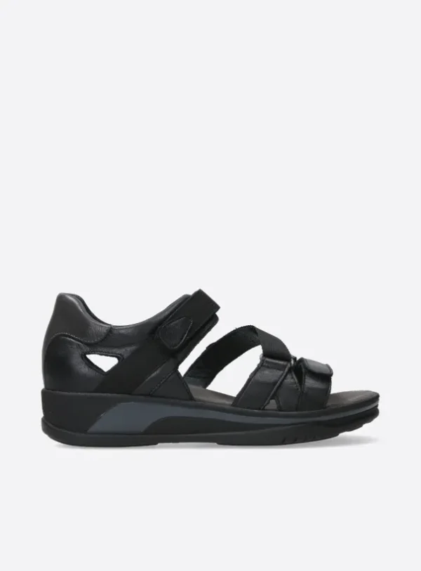 Wolky Desh - black leather Sandals for women